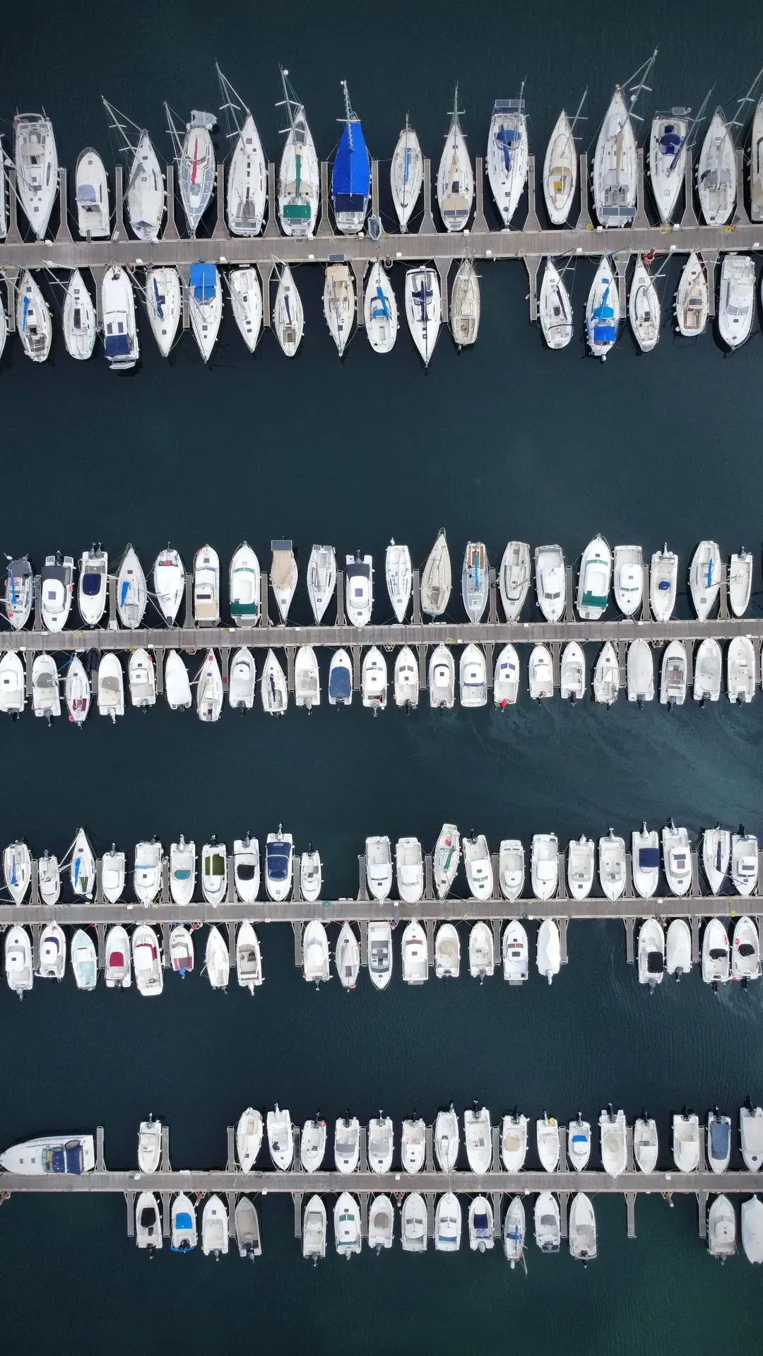 Aerial view of the marina